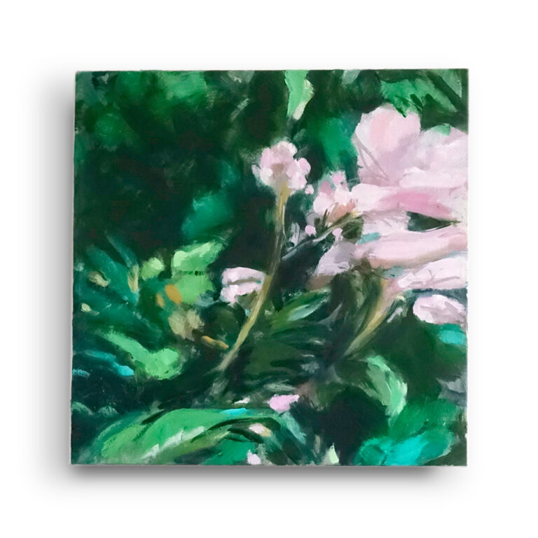 Pink Trumpet I oil/canvas, (30 x 30 cm)