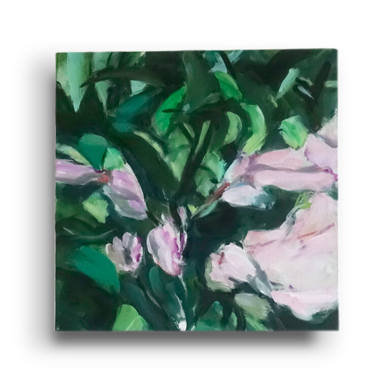 Pink Trumpet II oil/canvas, (30 x 30 cm)