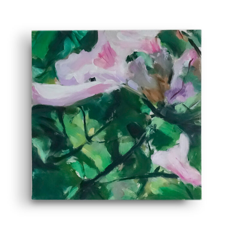 Pink Trumpet III oil/canvas, (30 x 30 cm)