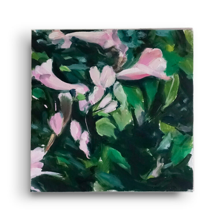 Pink Trumpet IV oil/canvas, (30 x 30 cm)