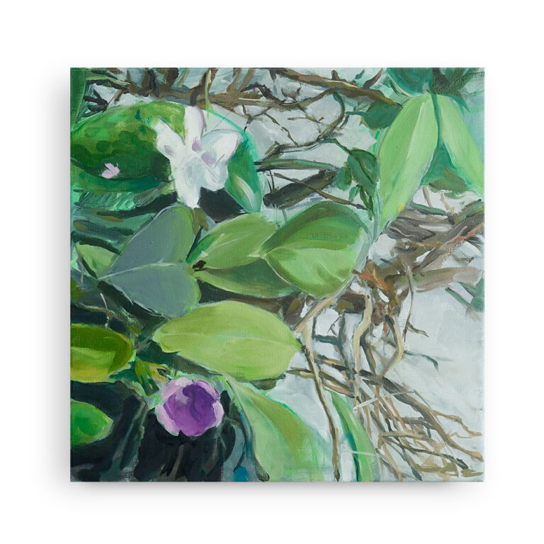 violet-wit-groen3
