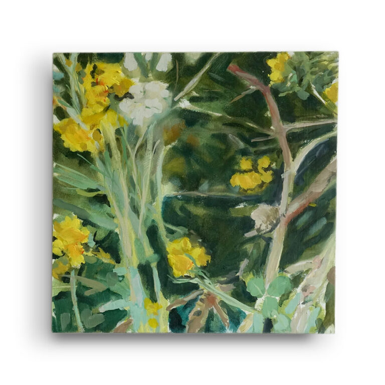 botanic secrets 4.Oil on panel. 25 x 25 cm.