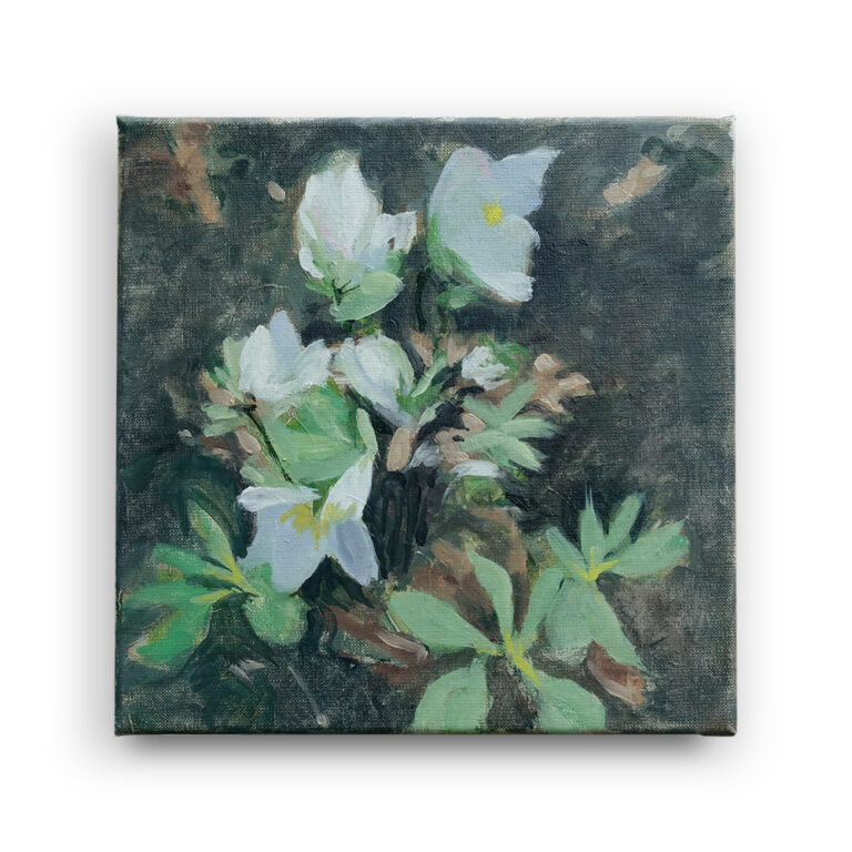 Peasaggio Minimo 6 Oil/Canvas (25 x 25 cm.)